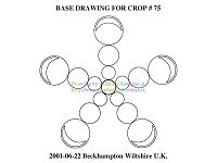 75-CROP-2001-06-22-BECKHAMPTON-WILTSHIRE-Base-Drawing