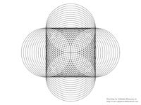 49-base-pattern-made-with-twenty-four-circles-and-duplicated-at-90-degrees