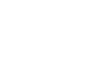 mandala-Geometric-shape-11-Regular-hendecagon