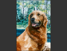 Page-33-MPE-55-Bobby-Golden-Retriever-DETAIL