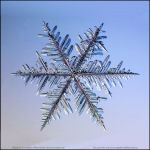 Snowflake-photo-13