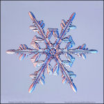 Snowflake-photo-15