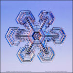 Snowflake-photo-16