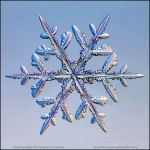 Snowflake-photo-17