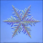 Snowflake-photo-2