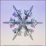 Snowflake-photo-22