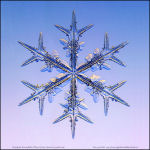 Snowflake-photo-24