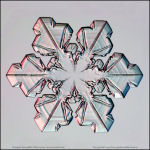 Snowflake-photo-25