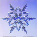 Snowflake-photo-26