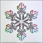 Snowflake-photo-27