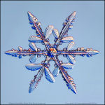 Snowflake-photo-29