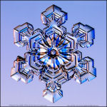 Snowflake-photo-32