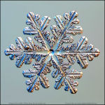 Snowflake-photo-33