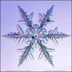 Snowflake-photo-35