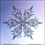 Snowflake-photo-37