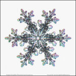 Snowflake-photo-39