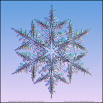 Snowflake-photo-41