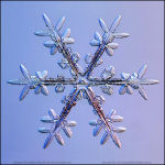 Snowflake-photo-43
