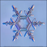 Snowflake-photo-45