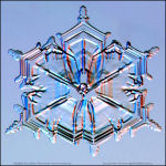 Snowflake-photo-46