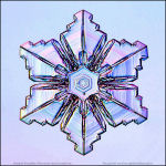 Snowflake-photo-5