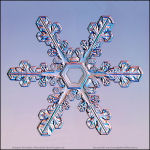 Snowflake-photo-52