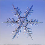 Snowflake-photo-54