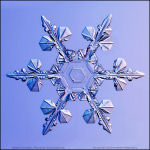 Snowflake-photo-56
