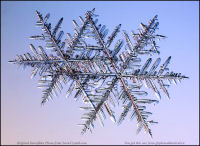 Snowflake-photo-9