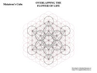METATRON'S-CUBE-6B-OVERLAPPING-THE-Flower-of-Life
