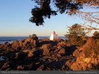 Photo-Amphitrite-Lighthouse-55-2009-01-19-1-311-UCLUELET-B.C.