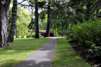 Photo-Beacon-Hill-Park-15-Trail-in-the-Park-2012-06-19