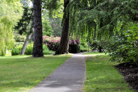 Photo-Beacon-Hill-Park-16-Trail-in-the-Park-2012-06-19