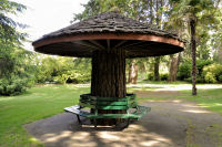 Photo-Beacon-Hill-Park-34-Benches-under-Cover-2012-06-19
