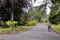 Photo-Beacon-Hill-Park-39-Road-Opposite-the-Small-Shed-2012-06-19