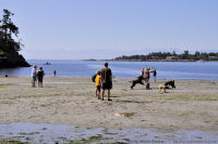 Photo-Cadboro-Bay-12-2011-07-30-Dogs-on-the-Beach
