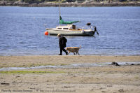 Photo-Cadboro-Bay-18-2011-07-30-Dogs-on-the-Beach