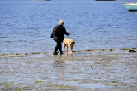 Photo-Cadboro-Bay-32-2011-07-30-Dogs-on-the-Beach