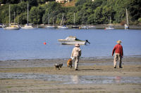Photo-Cadboro-Bay-38-2011-07-30-Dogs-on-the-Beach