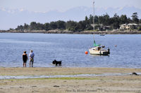 Photo-Cadboro-Bay-8-2011-07-30-Dogs-on-the-Beach