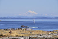 Photo-Cattle-Point-04-Victoria-B.C-2011-07-23-Mt-Baker-from-Cattle-Point