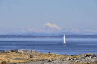 Photo-Cattle-Point-05-Victoria-B.C-2011-07-23-Mt-Baker-from-Cattle-Point