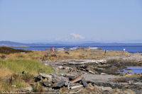 Photo-Cattle-Point-11-Victoria-B.C-2011-09-03-Mt-Baker-from-Cattle-Point