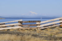 Photo-Cattle-Point-17-Victoria-B.C-2011-09-03-Mt-Baker-from-Cattle-Point