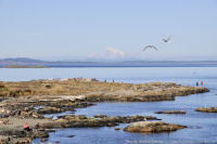 Photo-Cattle-Point-20-Victoria-B.C-2011-09-03-Mt-Baker-from-Cattle-Point