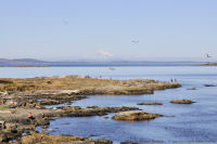 Photo-Cattle-Point-22-Victoria-B.C-2011-09-03-Mt-Baker-from-Cattle-Point