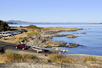 Photo-Cattle-Point-23-Victoria-B.C-2011-09-03-Activity-at-Cattle-Point