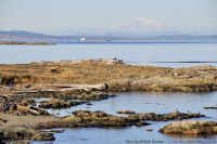Photo-Cattle-Point-30-Victoria-B.C-2011-09-03-Mt-Baker-from-Cattle-Point
