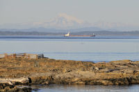 Photo-Cattle-Point-32-Victoria-B.C-2011-09-03-Mt-Baker-from-Cattle-Point