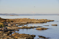 Photo-Cattle-Point-33-Victoria-B.C-2011-09-03-Peoples-at-Cattle-Point